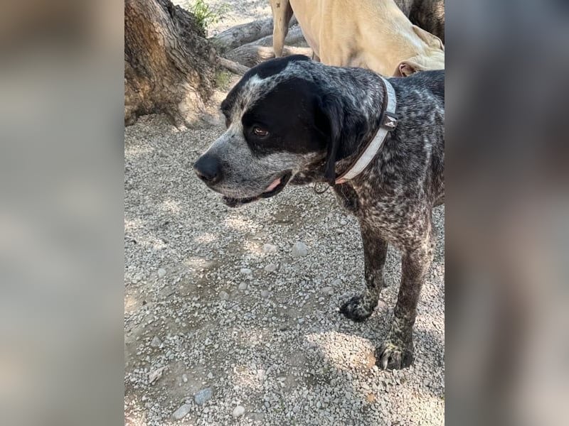 Wer schenkt Lennon Vertrauen?