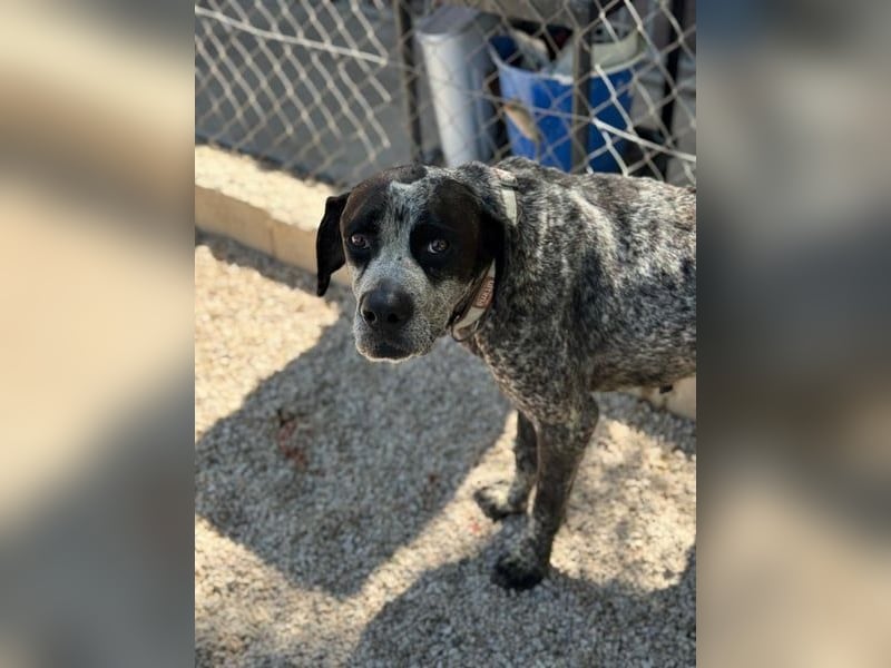 Wer schenkt Lennon Vertrauen?