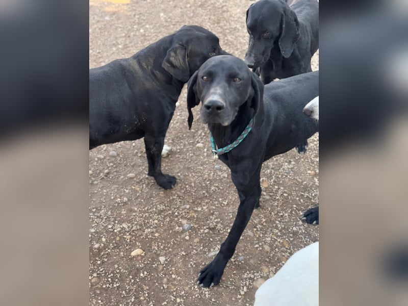 Morena, freundlich und aktiv