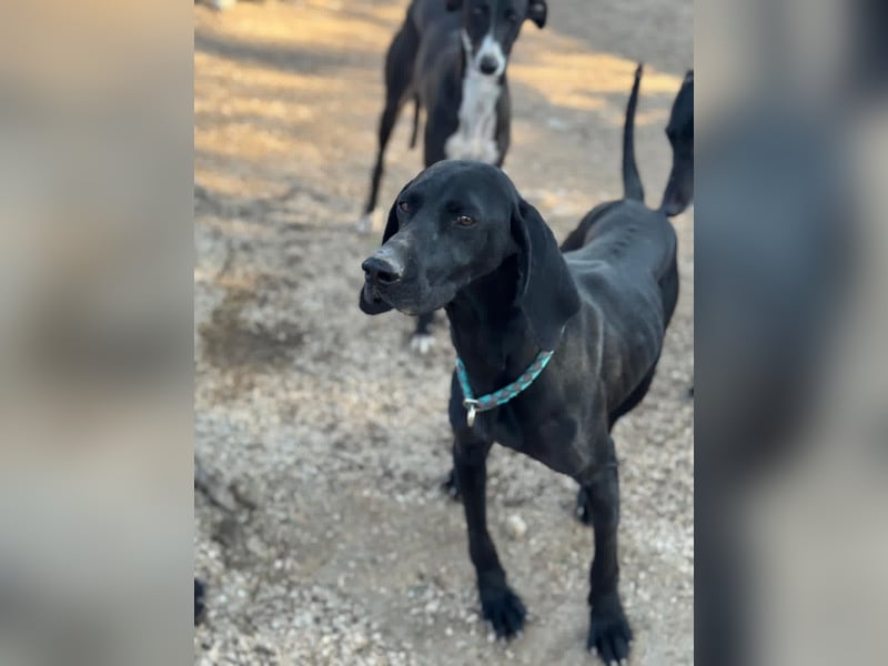 Morena, freundlich und aktiv