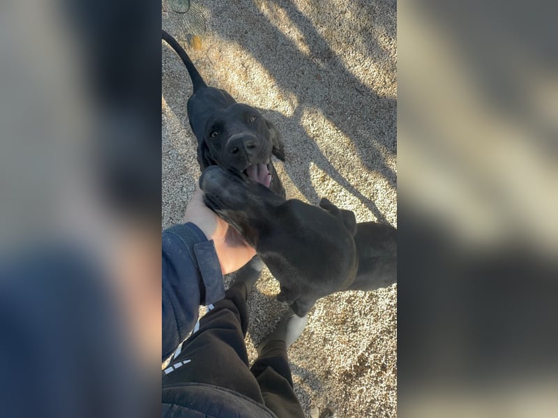 Morena, freundlich und aktiv