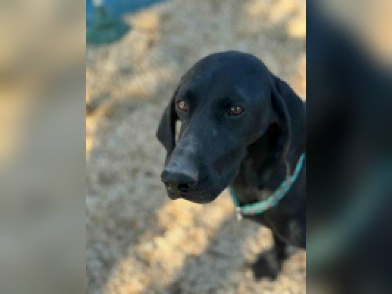 Morena, freundlich und aktiv