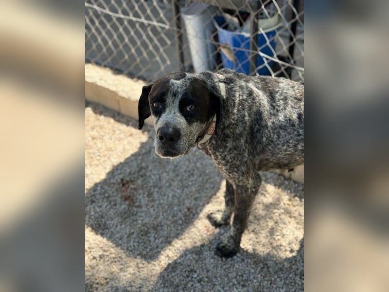 Lennon, hofft so sehr auf sein Happyend