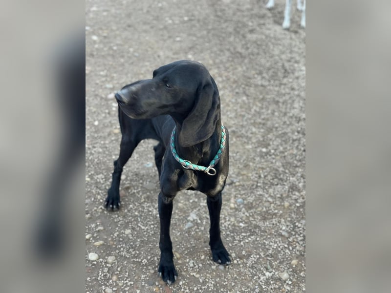 Morena, freundlich und aktiv