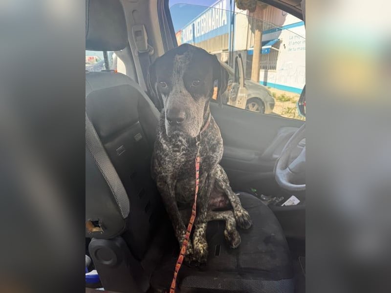 Lennon, hofft so sehr auf sein Happyend