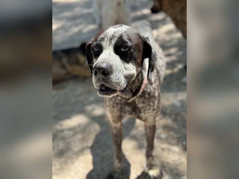 Lennon, hofft so sehr auf sein Happyend