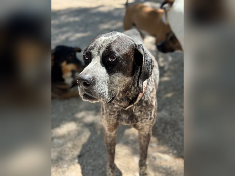 Wer schenkt Lennon Vertrauen?