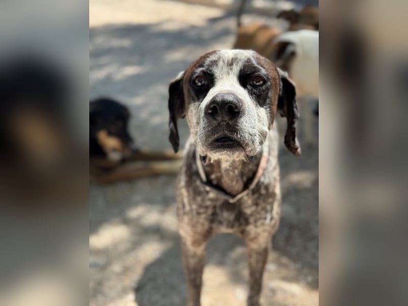 Lennon, hofft so sehr auf sein Happyend