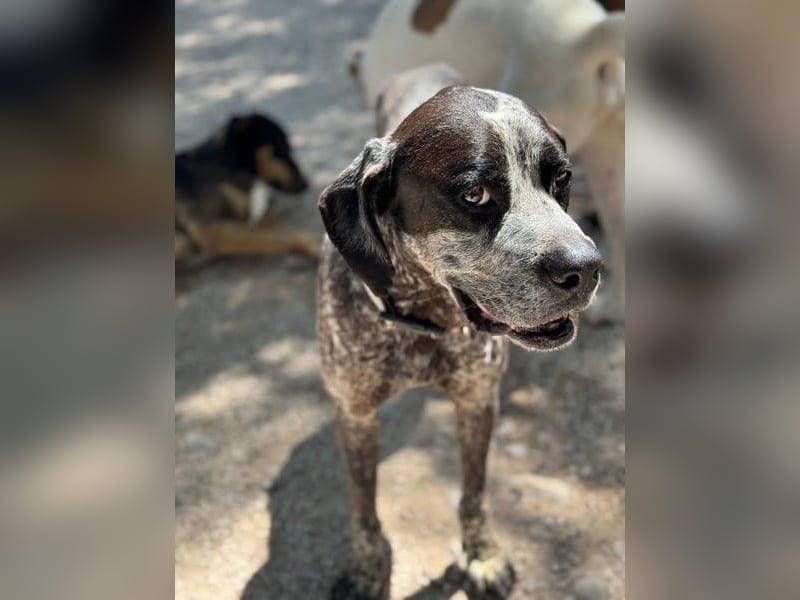 Lennon, hofft so sehr auf sein Happyend