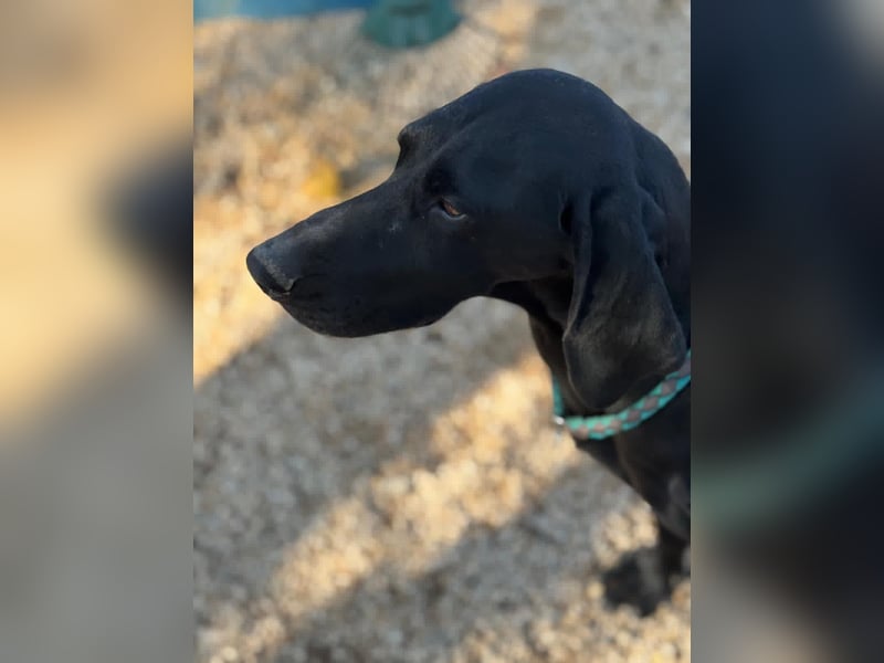 Morena, freundlich und aktiv