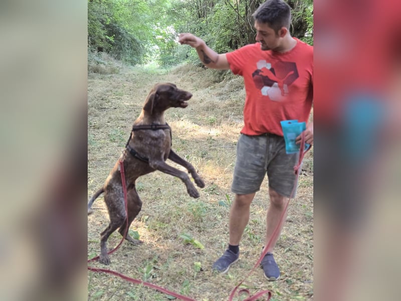 Junior BE – freundlicher Jungspund mit großem Herz