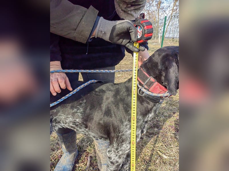 Teofil, geb. 01.01.2023, 63 cm, möchte viel erleben