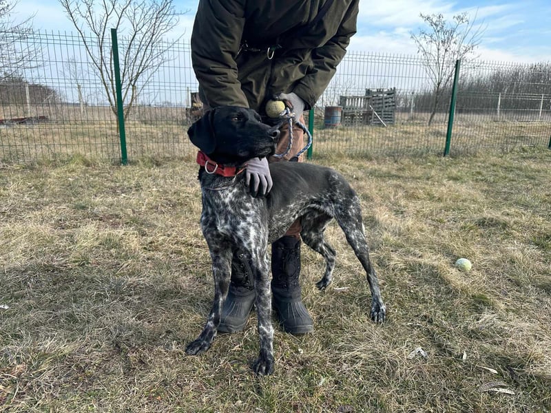 Teofil, geb. 01.01.2023, 63 cm, möchte viel erleben