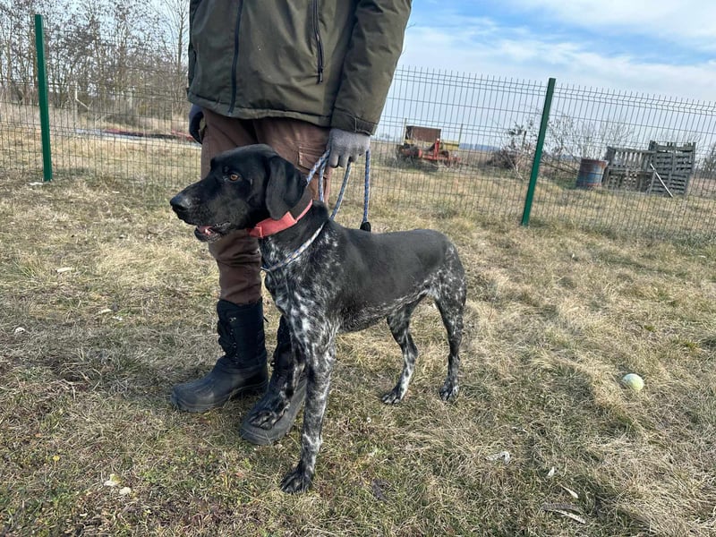 Teofil, geb. 01.01.2023, 63 cm, möchte viel erleben