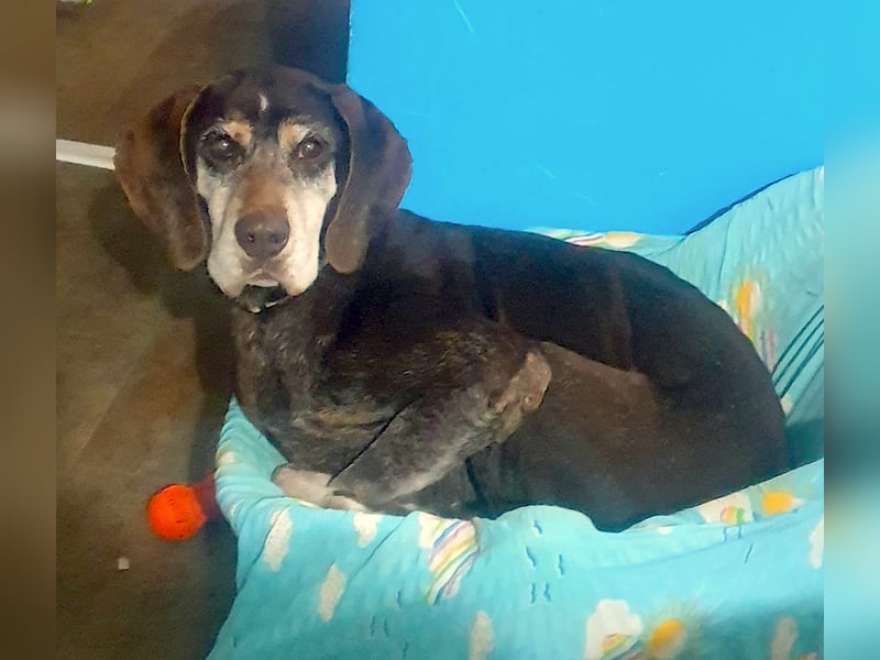 RACKO - sanft, sozial und voller Vertrauen