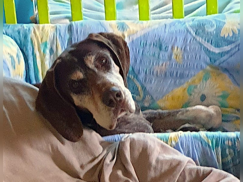 RACKO - sanft, sozial und voller Vertrauen