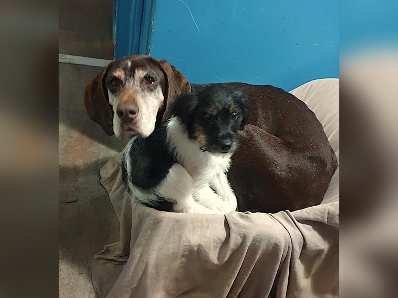 RACKO - sanft, sozial und voller Vertrauen