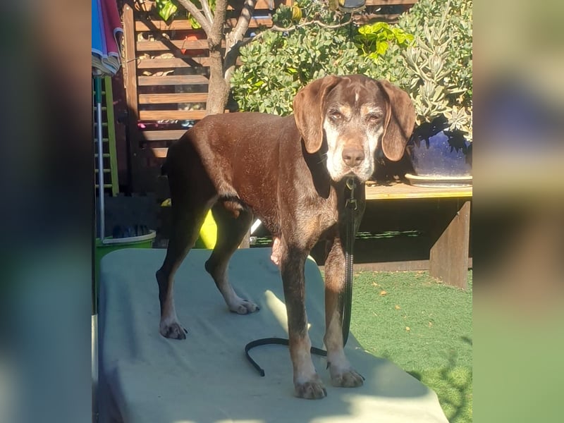 RACKO - sanft, sozial und voller Vertrauen