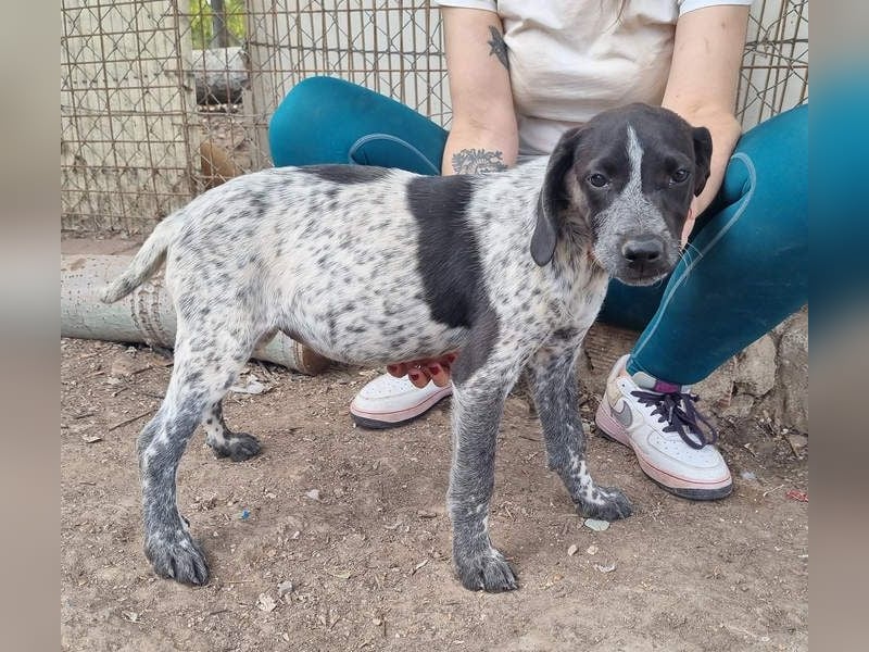 PLUMA-Kuscheln unbedingt erwünscht- Süsses Mädchen sucht liebevolle "Für-immer-Familie"