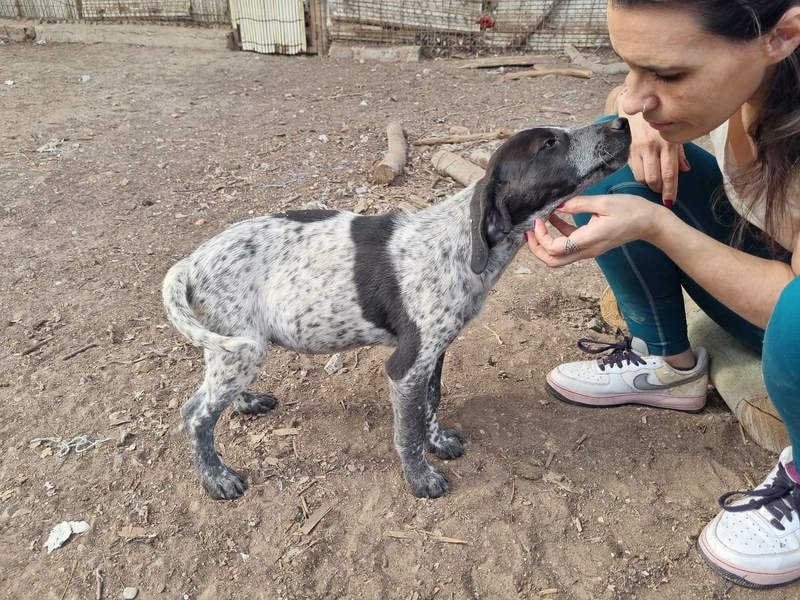 PLUMA-Kuscheln unbedingt erwünscht- Süsses Mädchen sucht liebevolle "Für-immer-Familie"