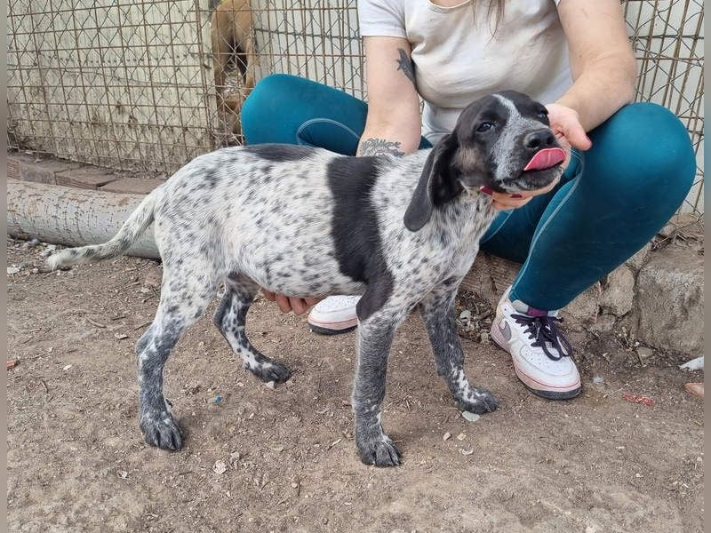 PLUMA-Kuscheln unbedingt erwünscht- Süsses Mädchen sucht liebevolle "Für-immer-Familie"