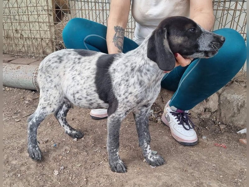 PLUMA-Kuscheln unbedingt erwünscht- Süsses Mädchen sucht liebevolle "Für-immer-Familie"