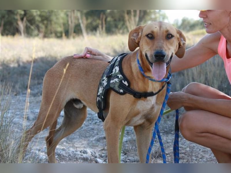 anfangs schüchternen DWAYNE sucht auch..  