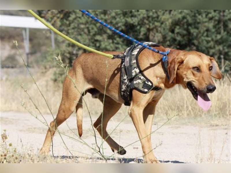 anfangs schüchternen DWAYNE sucht auch..  