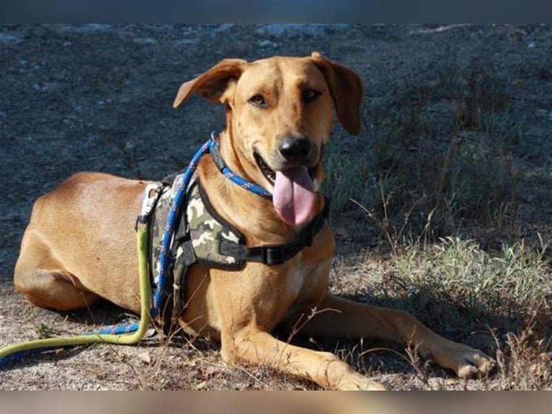 anfangs schüchternen DWAYNE sucht auch..  