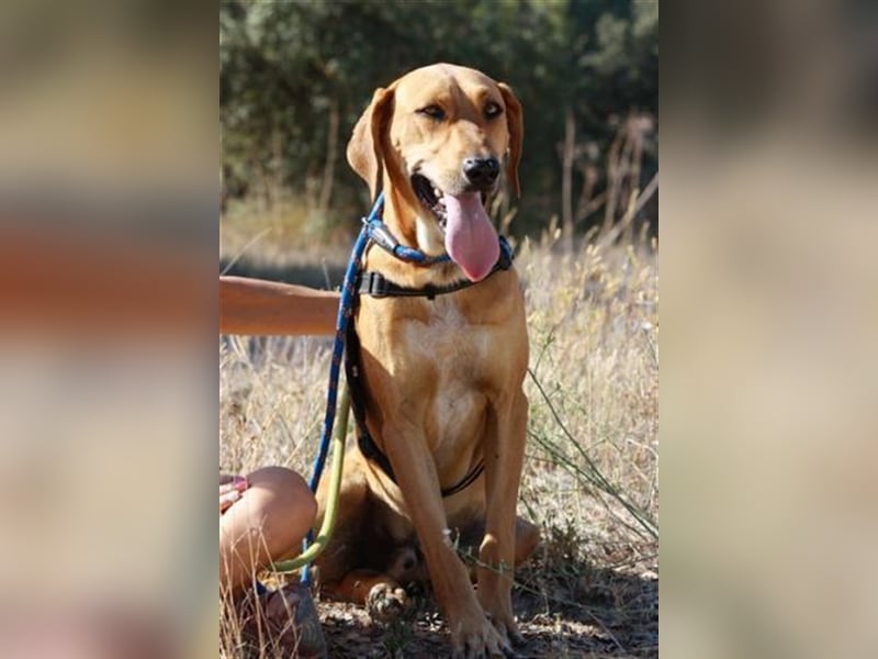 anfangs schüchternen DWAYNE sucht auch..  