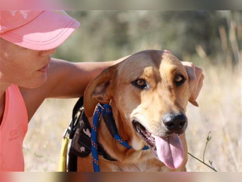 anfangs schüchternen DWAYNE sucht auch..  