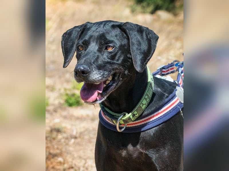 Amadeo - ein guter Kerl