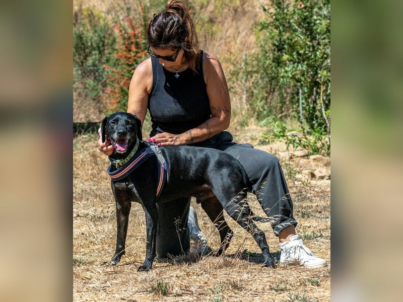 Amadeo - ein guter Kerl