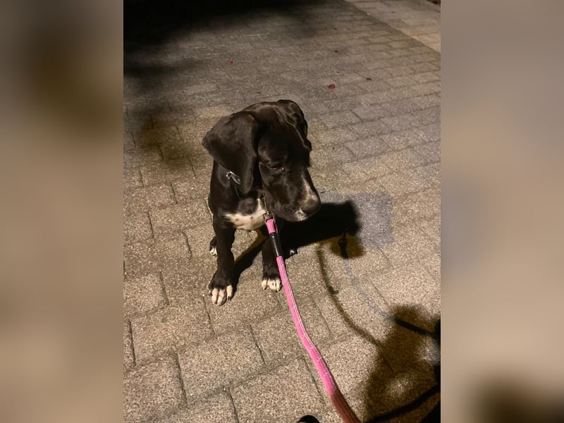 TAZ Reserviert