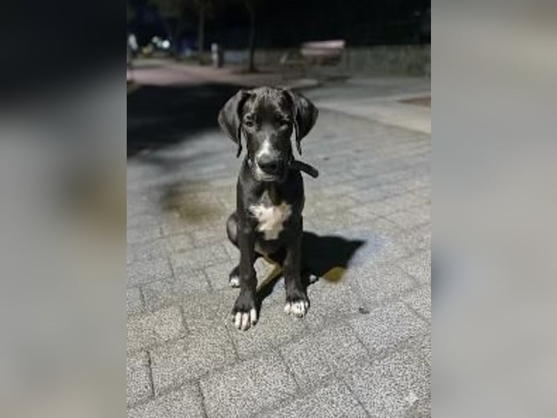 TAZ Reserviert
