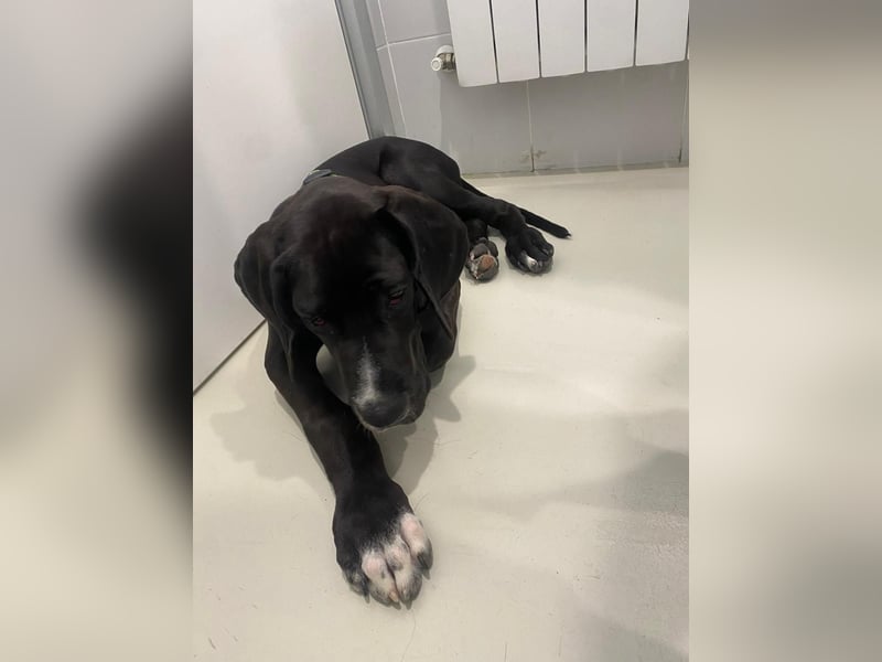 TAZ Reserviert
