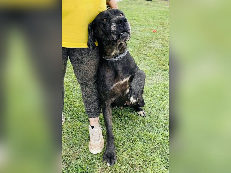 Minnie von kettenlos