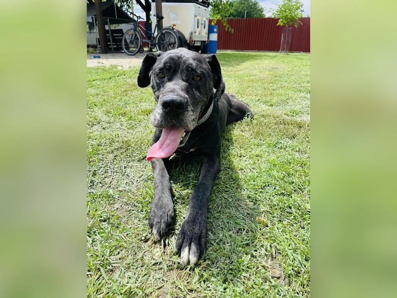 Minnie von kettenlos