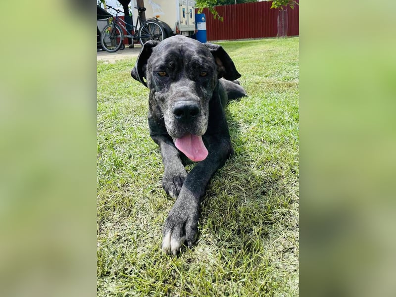 Minnie von kettenlos