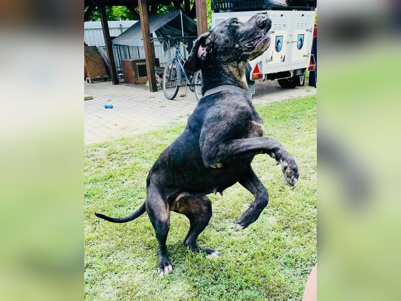 Minnie von kettenlos