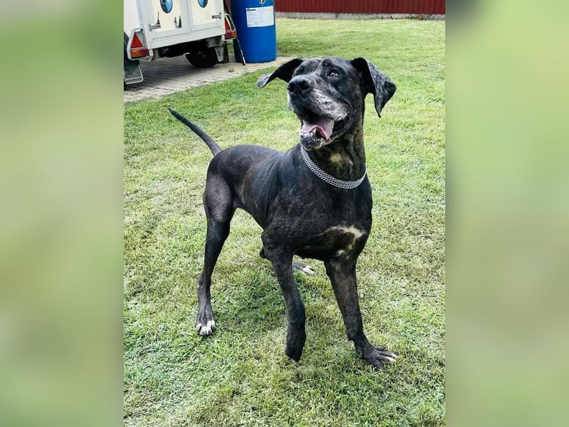 Minnie von kettenlos