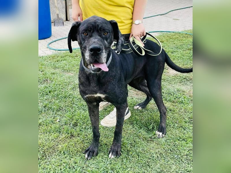 Minnie von kettenlos