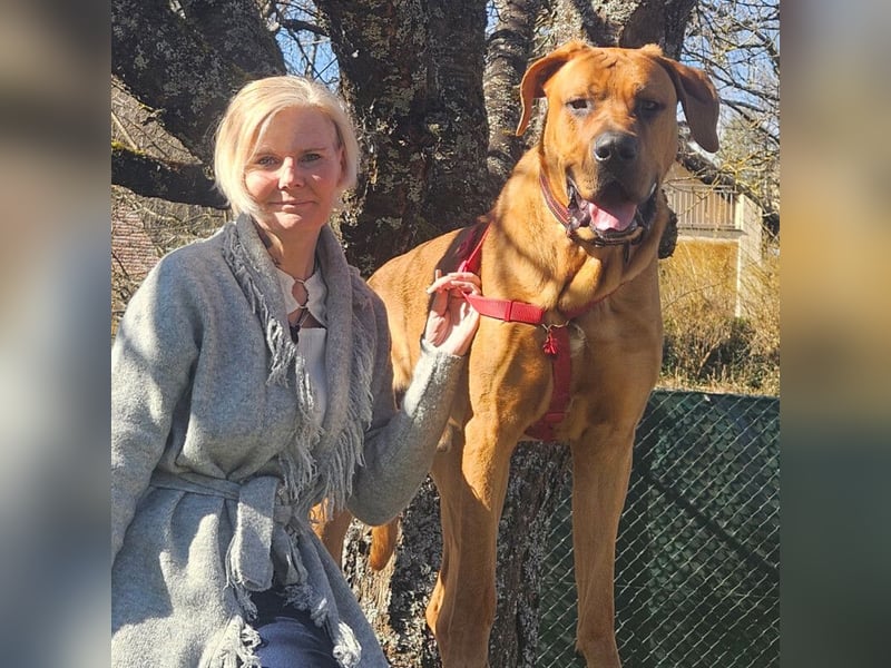 Cadillac - Power und Lebensfreude pur - Tierhilfe Franken e.V.