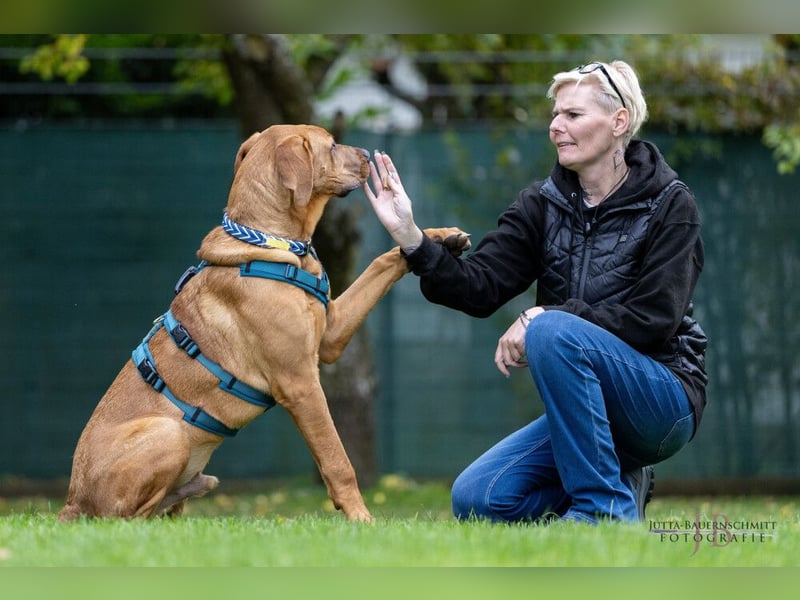 Cadillac - Power und Lebensfreude pur - Tierhilfe Franken e.V.