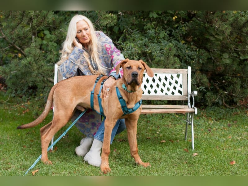 Cadillac - Power und Lebensfreude pur - Tierhilfe Franken e.V.