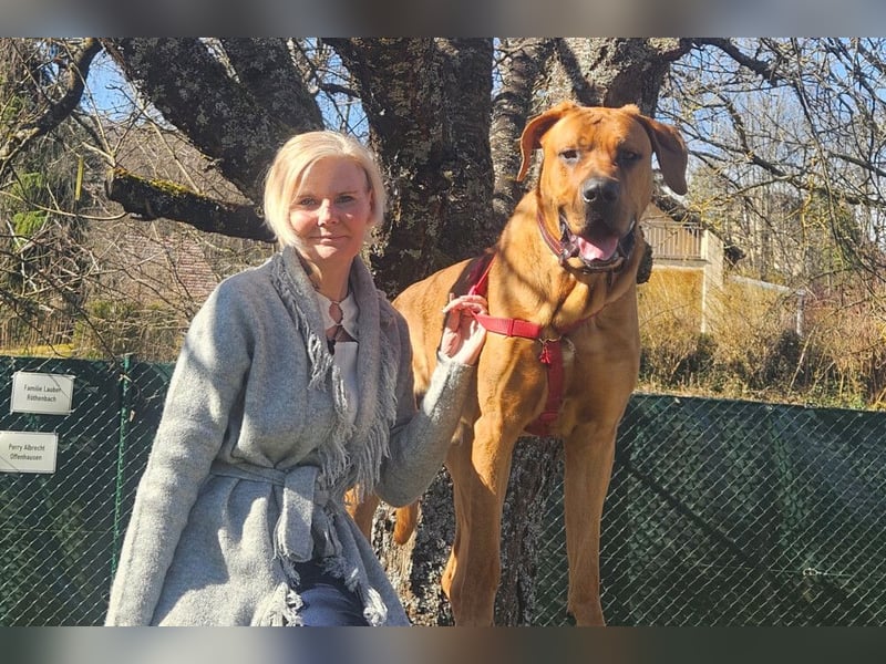 Cadillac - Power und Lebensfreude pur - Tierhilfe Franken e.V.