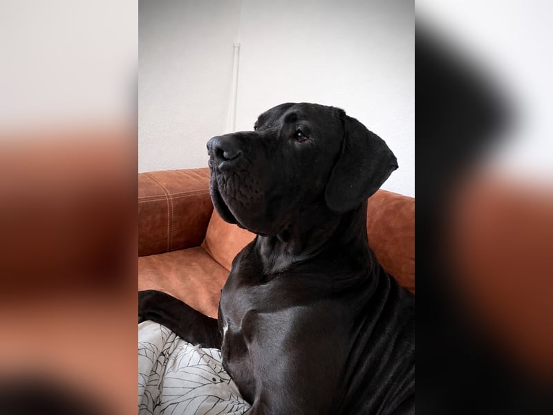 Milow - Riesenbaby will endlich ankommen