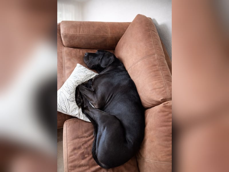 Milow - Riesenbaby will endlich ankommen