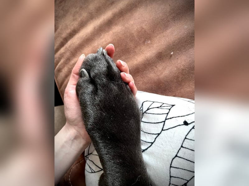 Milow - Riesenbaby will endlich ankommen