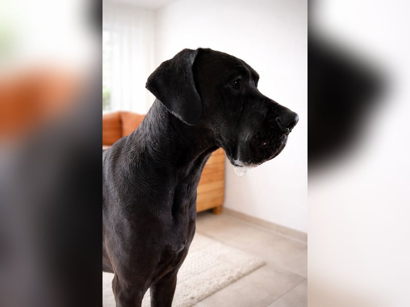 Milow - Riesenbaby will endlich ankommen